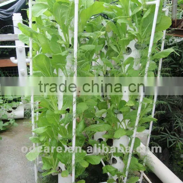 Vegetable Plant Smart Vegetable Plant
