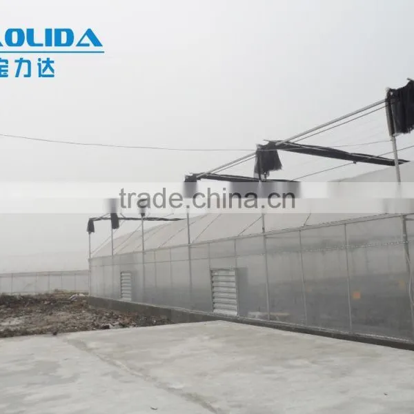 Factory Price Vegetables/Crops/Horticulture Used Poly Carbonate Sheet Greenhouse photo-3