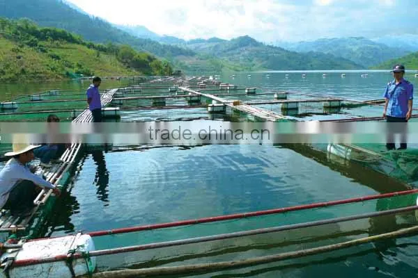 Yeast Extract Powder 42% for Fish Shrimp and Crab Feed photo-3