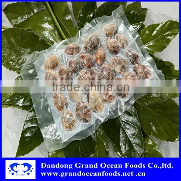 Frozen Cooked Baby Clam Meat photo-4
