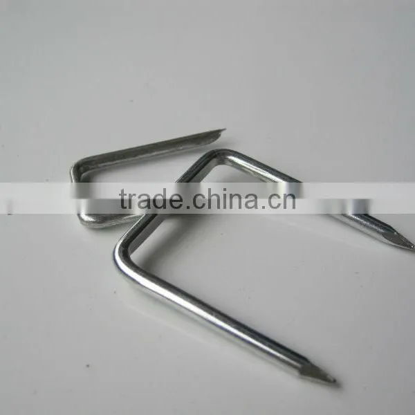 Square Bottom U Nail With Plastic Mattress in Guangzhou photo-2