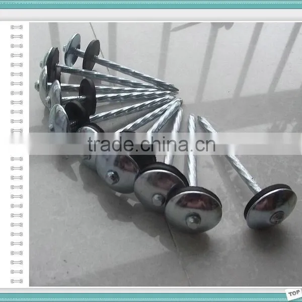 Turkey Market Galvanzied ROOFING NAILS BWG9X2.5" photo-6