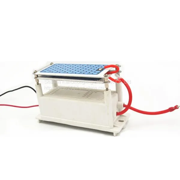 Portable Ceramic Ozone Plates Incorporated Ozonizer For Air Purifier