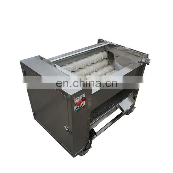 Small Type Brush Washing Machine Fruit and Vegetable Sweet Potato Cleaning Machine Potato Peeler Machine photo-6