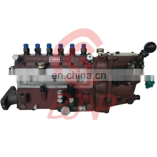 Injection Pump BH6B100YS28GB photo-2