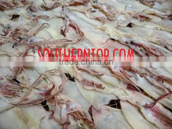 Roasted Squid photo-4