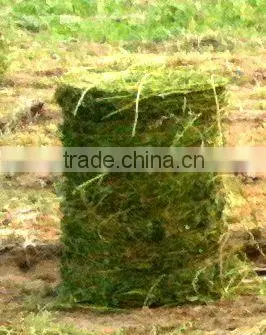 Since 1989 CE Approved RXYK0850 Corn Silage Round Baler for Sale photo-6