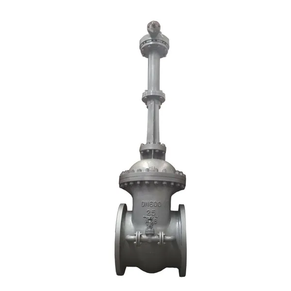 Factory Customized Flanged Ends GOST Standard Carbon Steel PN25 Rising Stem Gate Valve photo-2