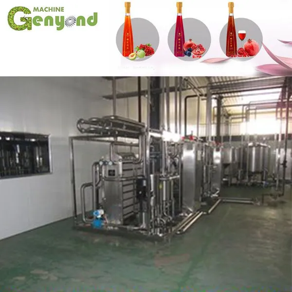 Berry Apple Wine Making Machine photo-4