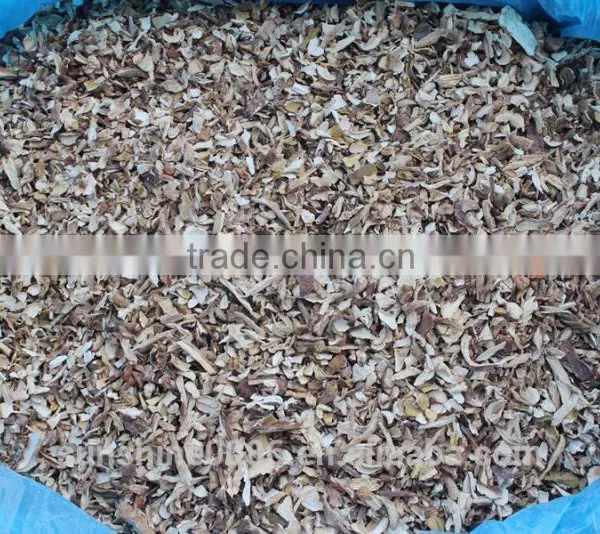 ISO ,HACCP Orgnic Porcini Mushroom photo-2