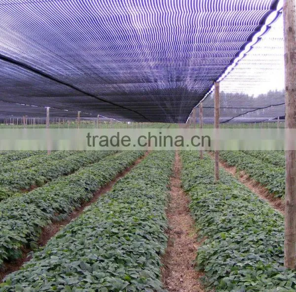 green color sun shade net for greenhouse and agriculture usage