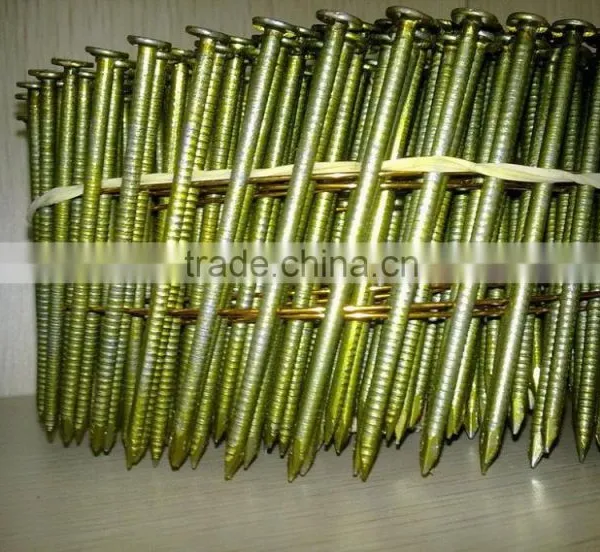 Supply Galvanized Roofing Coil Nails / Coil Nail photo-2