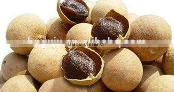 High Quakity Fruit Dryer Machine With Best Service photo-4