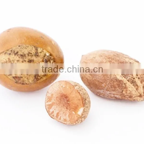 Shea Butter photo-2
