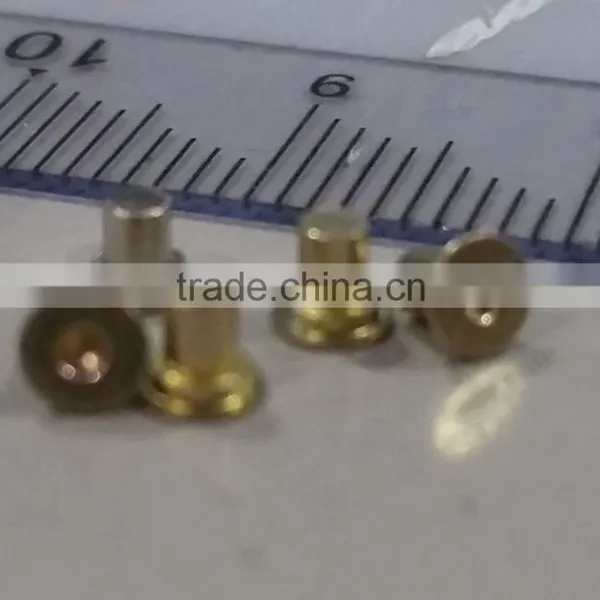 Micro Screw, Fastener, Metal Rivet Pin & Cold Forging Part