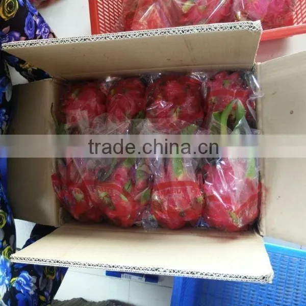 BEST PRICE FRESH DRAGON FRUIT photo-5