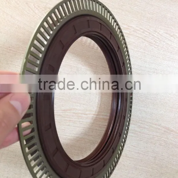Iron Shell Viton Rubber Oil Seal 135-175-18 photo-3