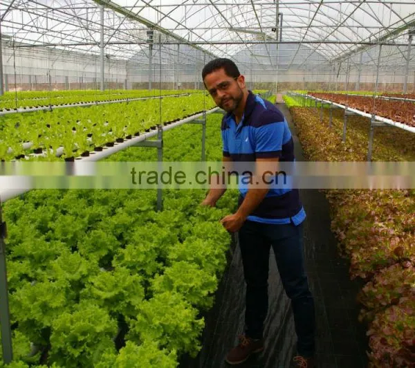 Climate and Hydroponic Controllers for EC / PH, Fertilizer Mixing and Irrigation on Hydroponic Growing Greenhouses photo-2