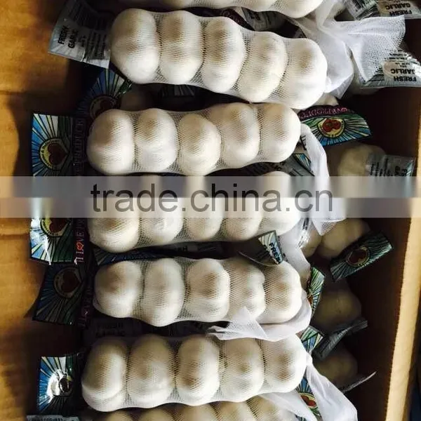 New Season Chinese Normal White Garlic photo-6