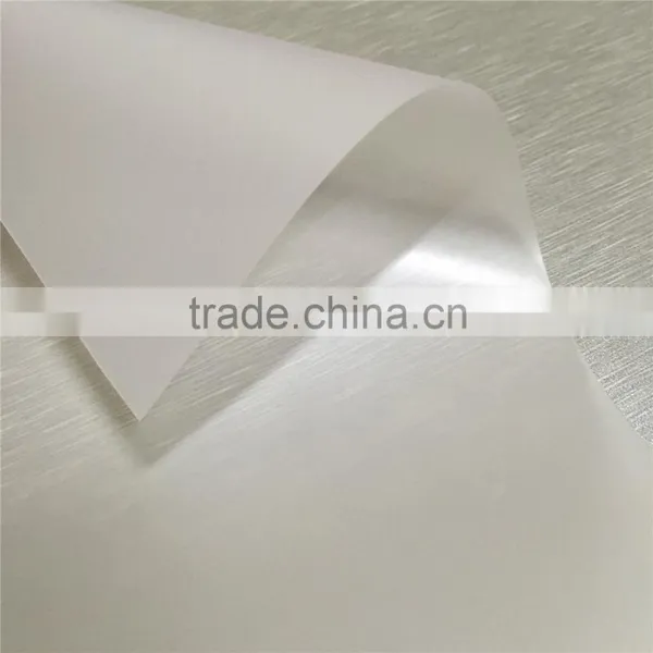 Latex Printing Frosted Translucent PET Film Roll photo-3