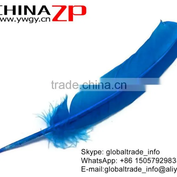 CHINAZP Top Selling Plume Crafts Wholesale Cheap Dyed Turquoise Natural Solid Color Turkey Feathers for Sale photo-3