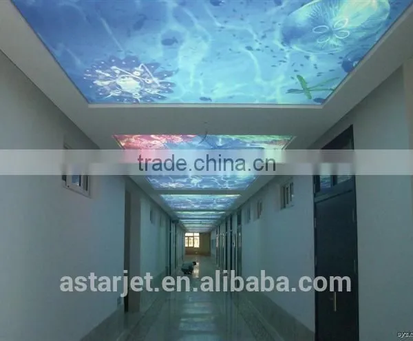 3.2m DX7 Head AStarjet Large Format Printer For Light Box and Strech Ceiling Film photo-4