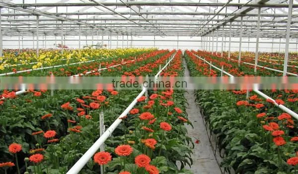Fresh Cut Flowers Available... photo-3