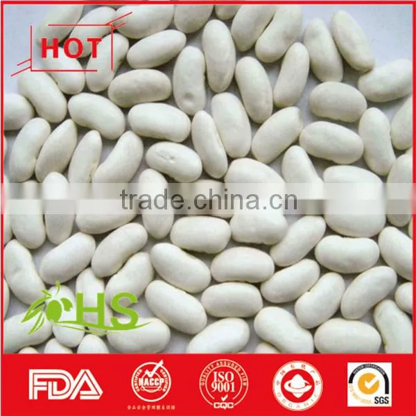 Chinese White Kidney Beans of Wholesale Price photo-4