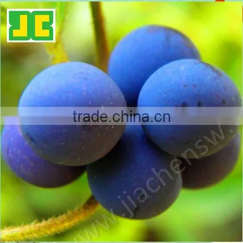 100%Natural High Quality Anthocyanidins 25% Uv From Bilberry Extract