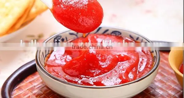 Tomato Ketchup, Tomato Paste, CANNED TOMATO PASTE