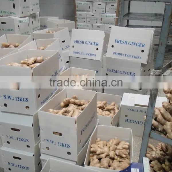 Fresh Air Dried Ginger photo-5