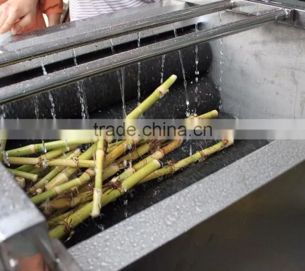 Industrial High Efficient Fresh Ginger Potato Washer and Peeler Root Vegetable Washing and Peeling Machine Fish Skin Peeler photo-4
