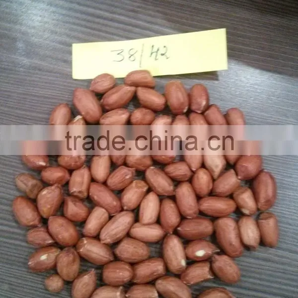Peanut Kernal photo-2