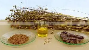 LINSEED