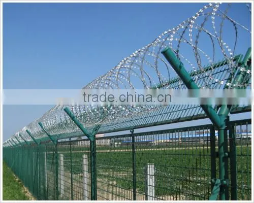 Razor Wire Packing Grass Boundary Galvanized Barbed Wire Galvanize Razor Blade Barbed Wire photo-3