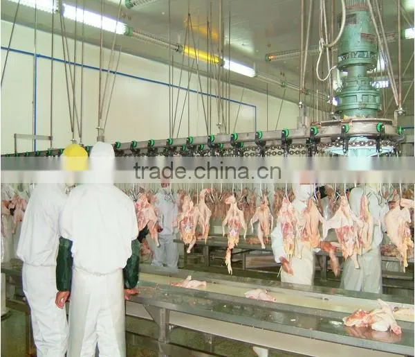 Good Halal Chicken Slaughter Line/slaughterhouse Equipment