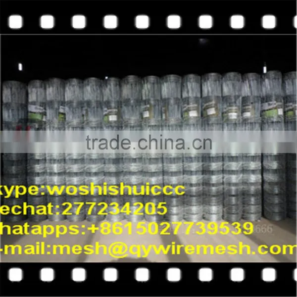 South Africa Field Fence, Farm Fencing photo-4