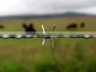 QIang Yu Factory Best Price Barbed Wire photo-2