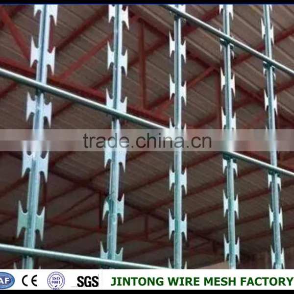 Concertina Wire Coils Razor Wire Mesh photo-2