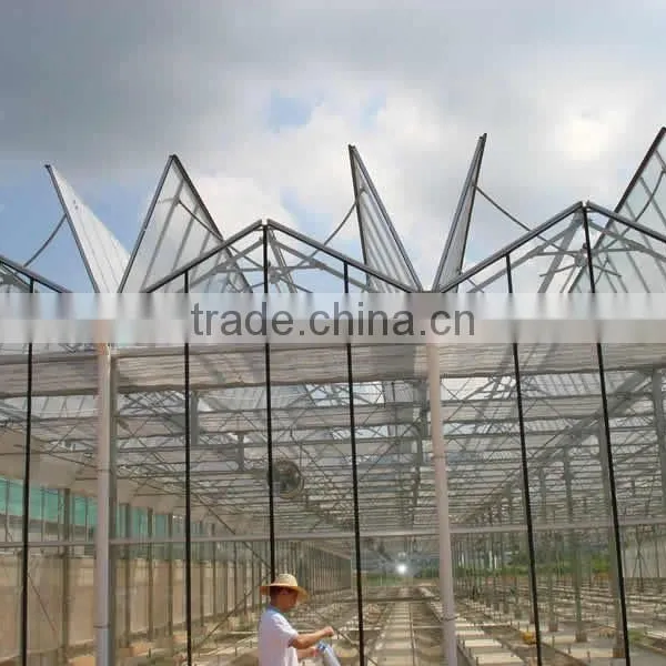 10mm Cheap Polycarbonate Agricultural Greenhouse photo-2