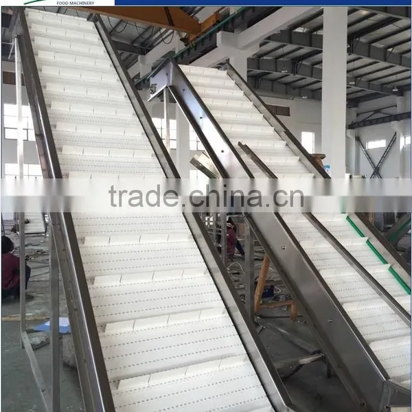 GP-II Model Pre-treatment Production Line For Vegetable Dehydration Line photo-3