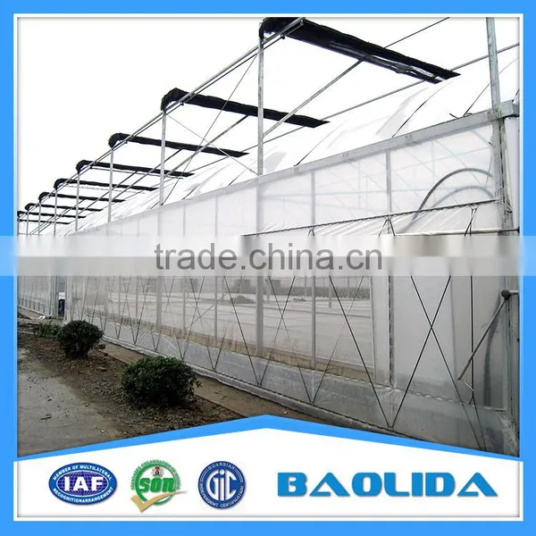 BLD Large Multi-span Plastic Film Greenhouse and Forever Flowering Auto Blackout Greenhouse photo-3