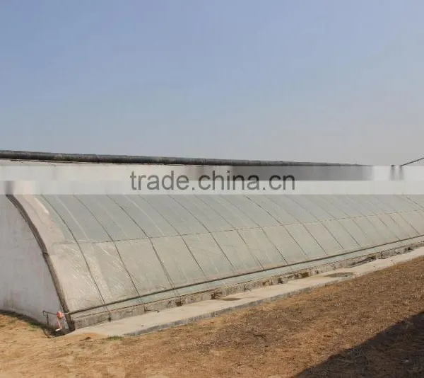 BaoLiDa Agriculture Used Greenhouse photo-4
