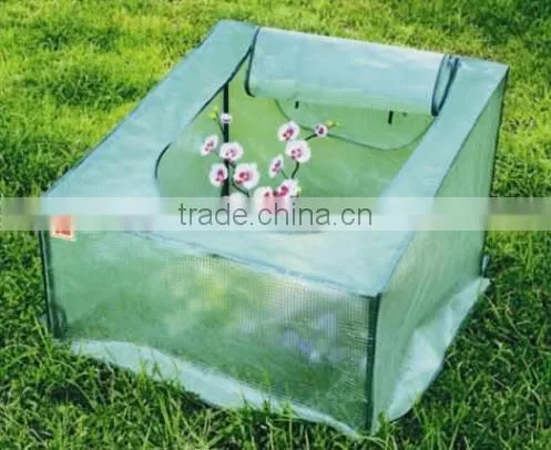 Growhouse and Multi Cloche Range for Flower and Plant photo-5