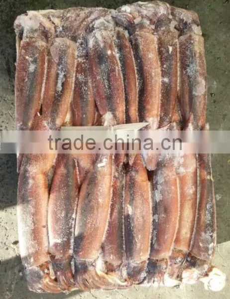 Frozen Illex Argentinus Squid photo-3
