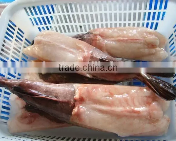 Monkfish photo-5