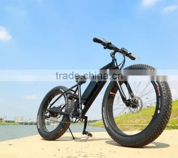 Best Selling 26 Inch Electric Bike Easy Ride Brushless Hub Motor Fat Tire Electric Bike photo-6