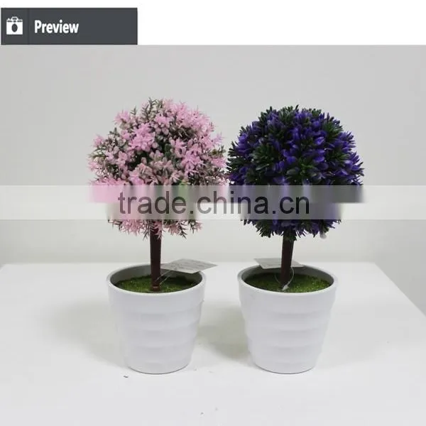 Christmas Decoration New Design Artificial Succulent Plants for 2015 photo-4
