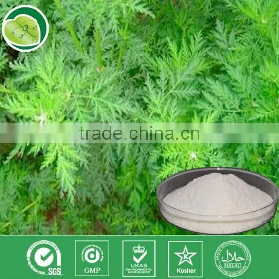 GMP Factory Artemisia Annua Sweet Wormwood Herb Artemisia Carvifolia 98% 99% White Crystalline Powder Cure Malaria photo-3