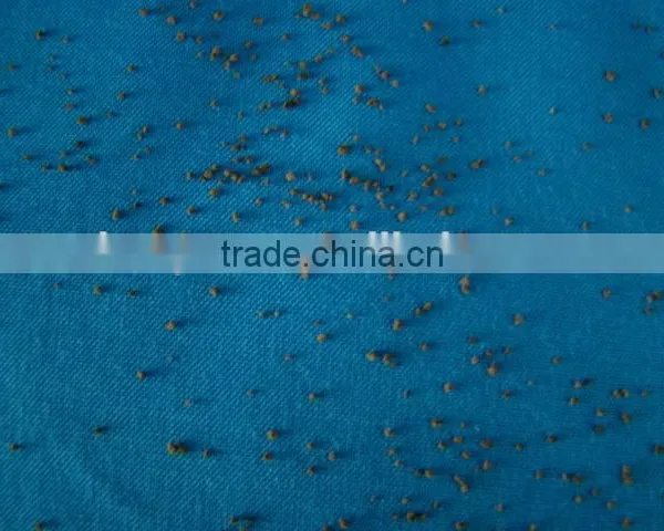 Single Herb Extract Granule Single Herb Granule photo-2